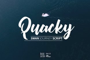 Quacky Font: Handwritten Style for Business